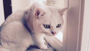 猫背矯正,猫背,姿勢矯正,ZERO整体院,岡山市,東区,中区,南区,北区,倉敷市,整骨院,接骨院,整体院