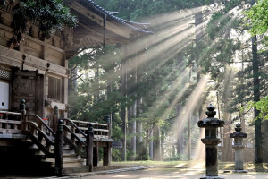肩こり,整骨院,接骨院,整体,岡山市,東区,中区,南区,北区,倉敷市